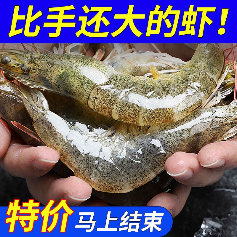 【顺丰速递】现捕大虾对虾海鲜基围虾明虾青虾白虾海虾冻虾4斤